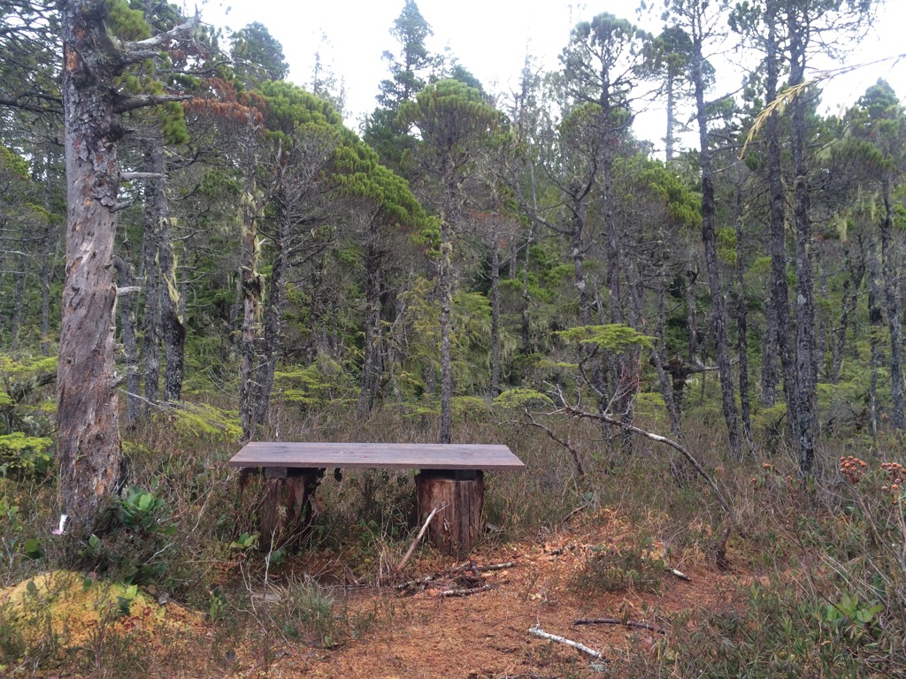s_lake_bench